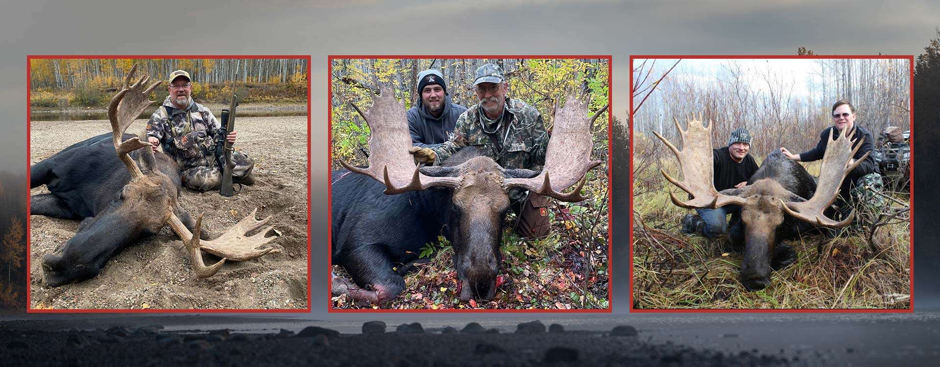 Moose Hunts