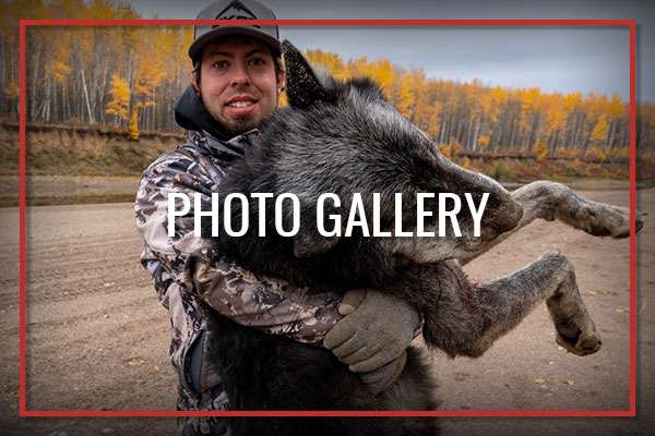 Photo Gallery